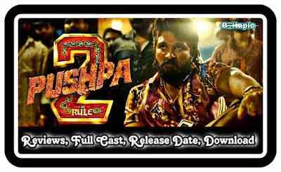 Pushpa 2 The Rule (2023) Movie