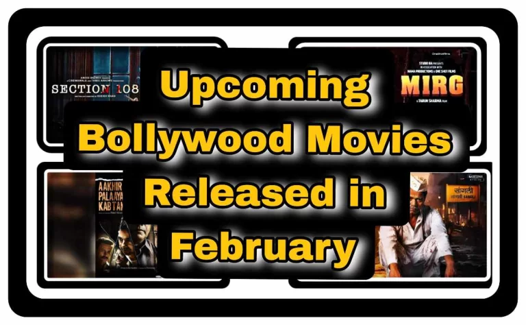 Which are the Bollywood Movies Released in February 2024